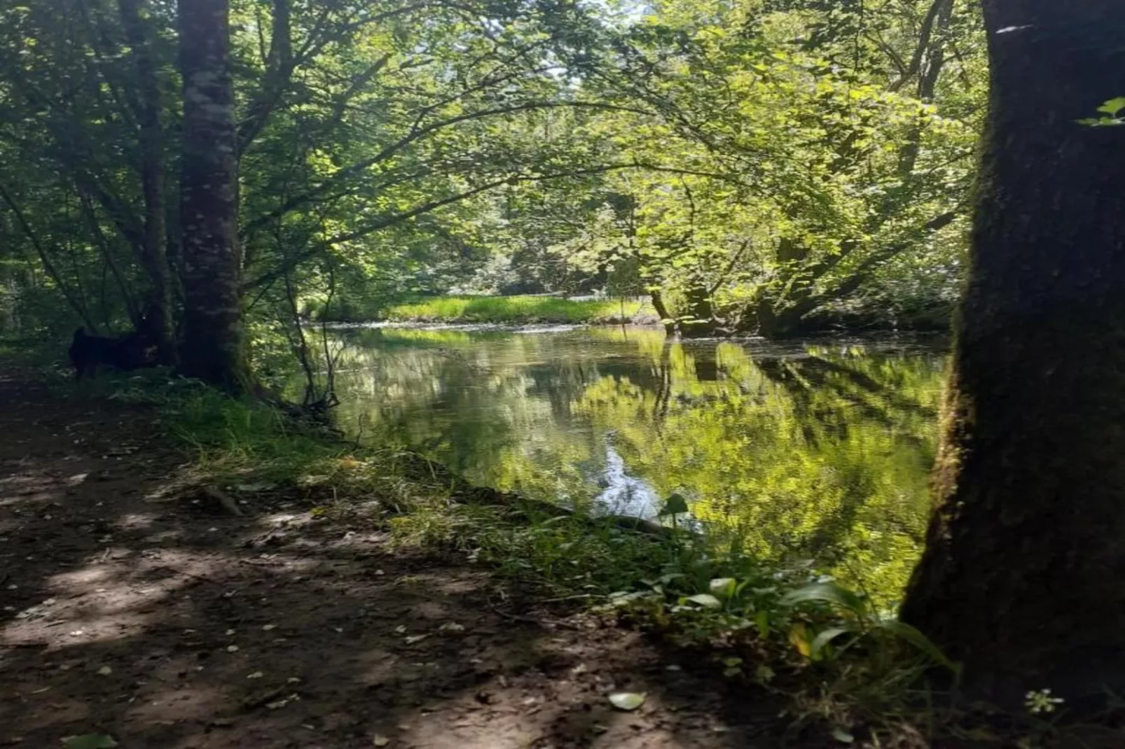 Maison au calme avec piscine-Gebieden zomer 20km