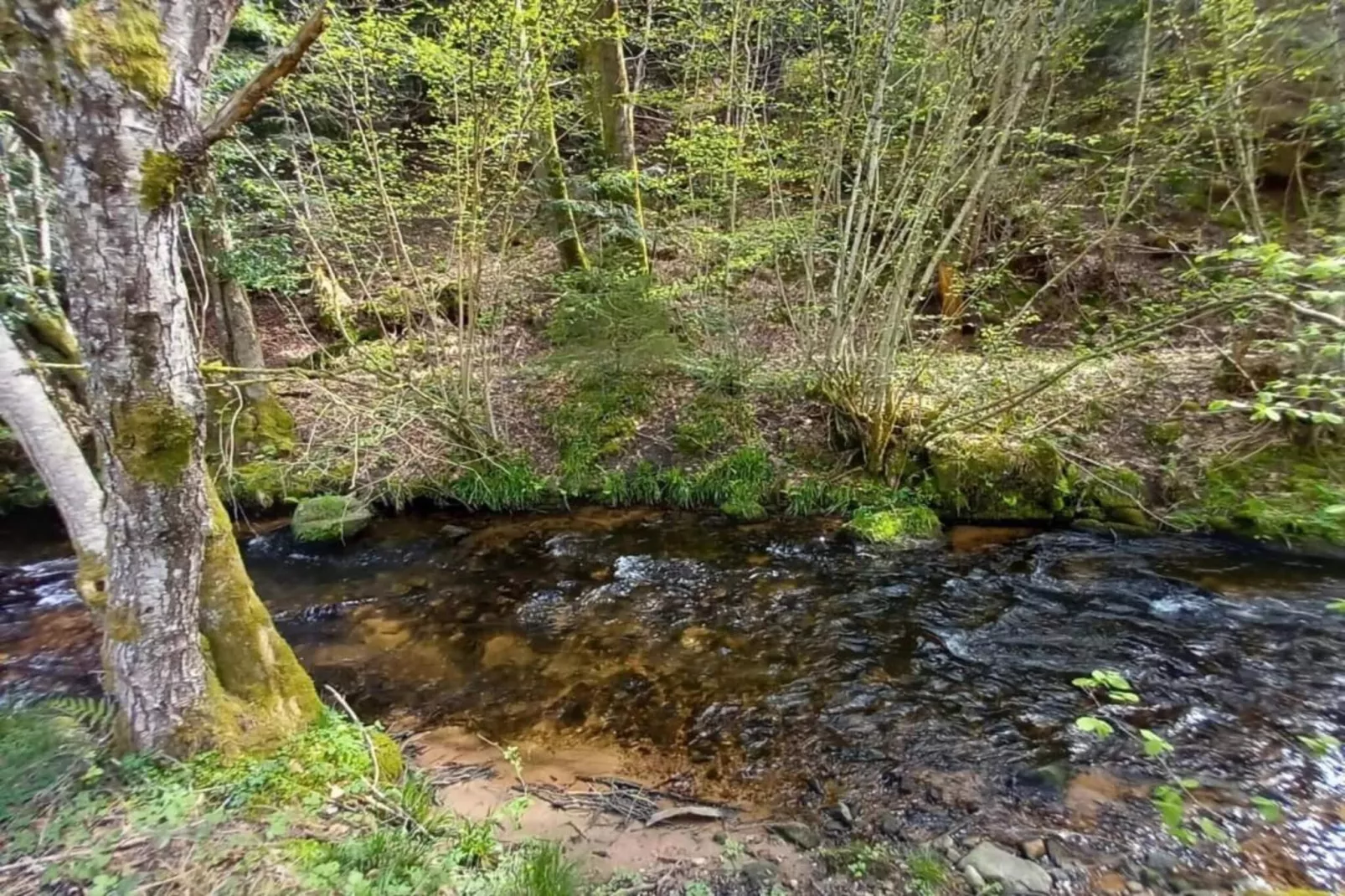 Chalet - TURQUESTEIN-Gebieden zomer 20km