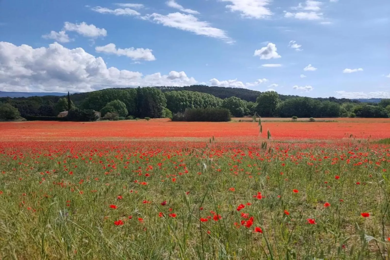 La Bastide des Chênes 2-Gebieden zomer 20km