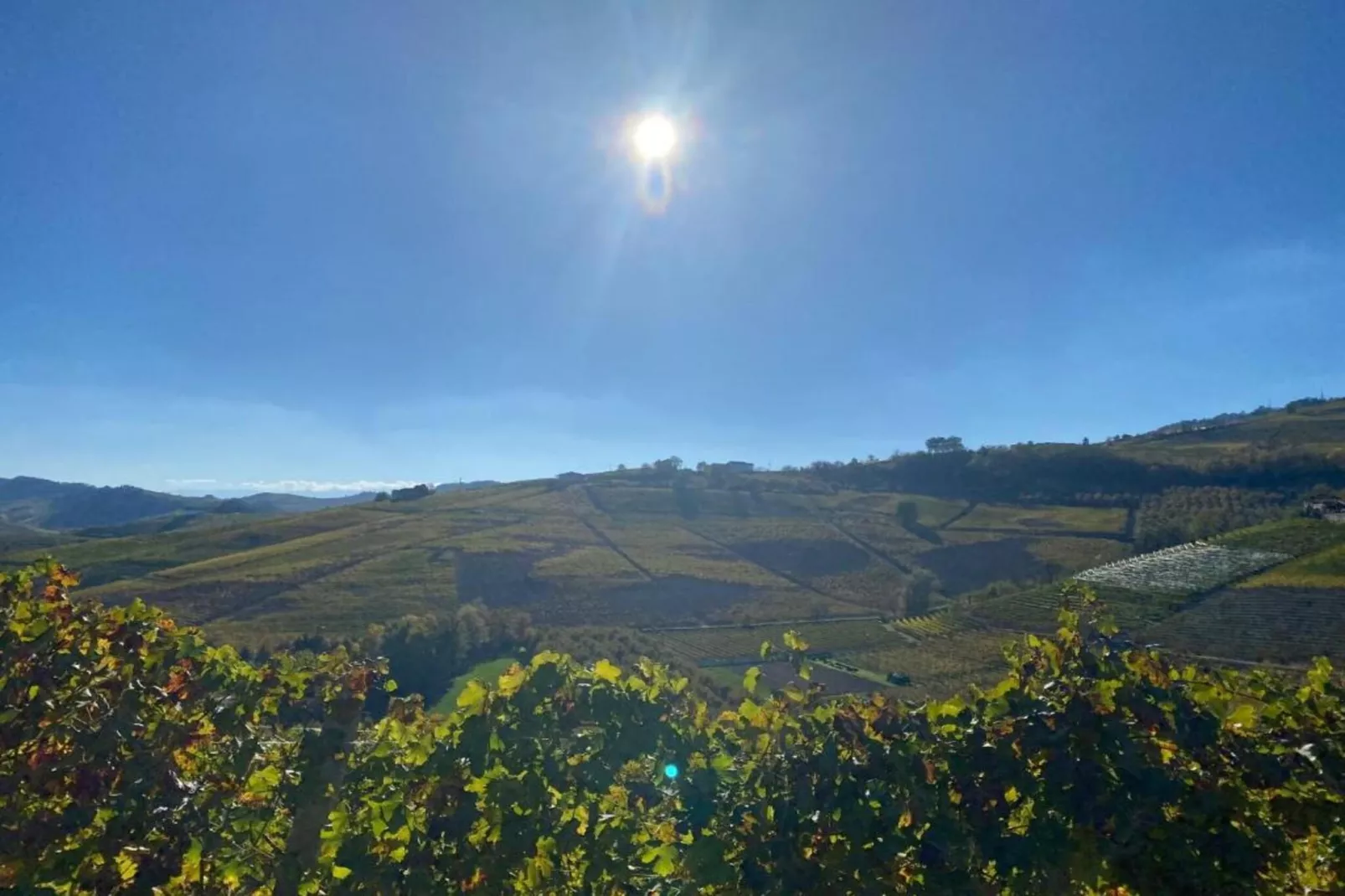 Barolo-Gebieden zomer 20km