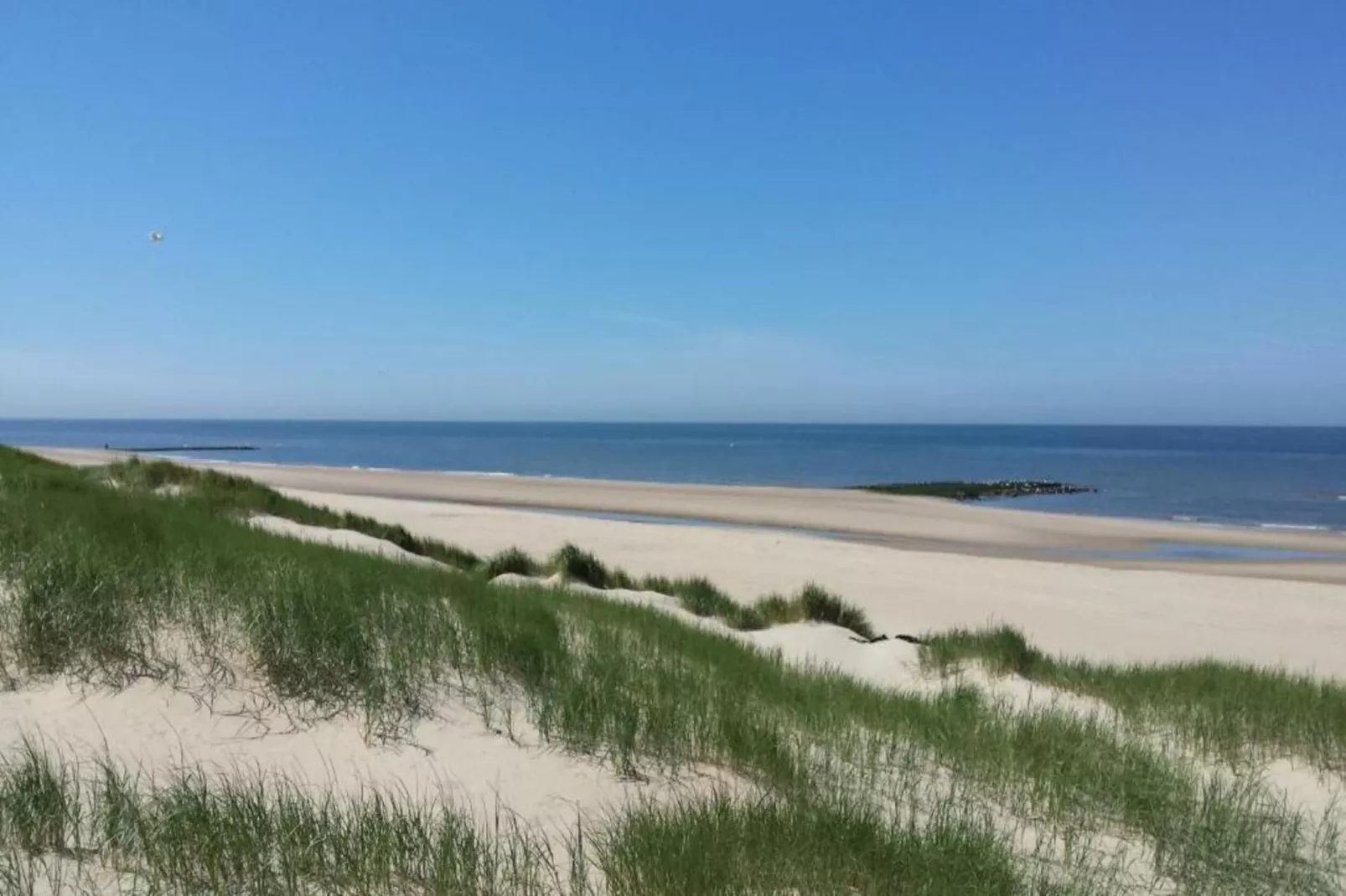Hazenborgh - Studio Eb-Gebieden zomer 20km