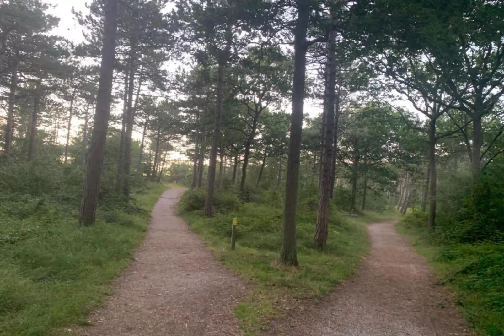 Residentie Californië 1-Gebieden zomer 20km
