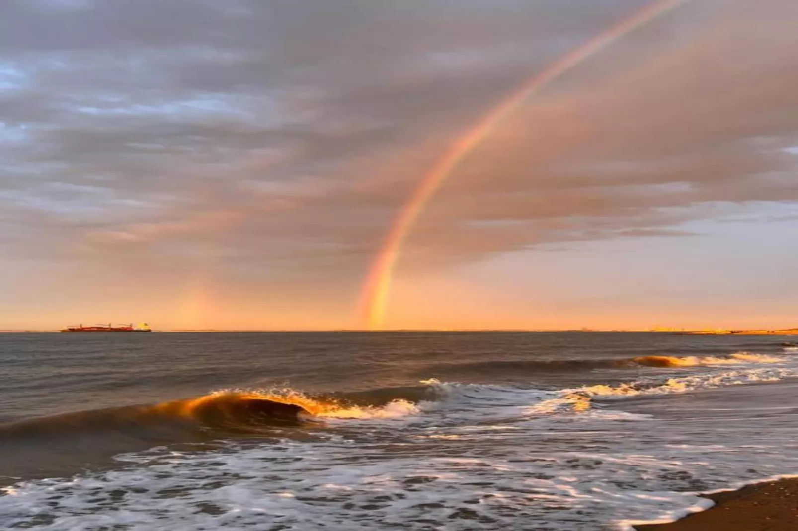 Beach Resort Nieuwvliet-Bad 12 - Gebieden zomer 20km