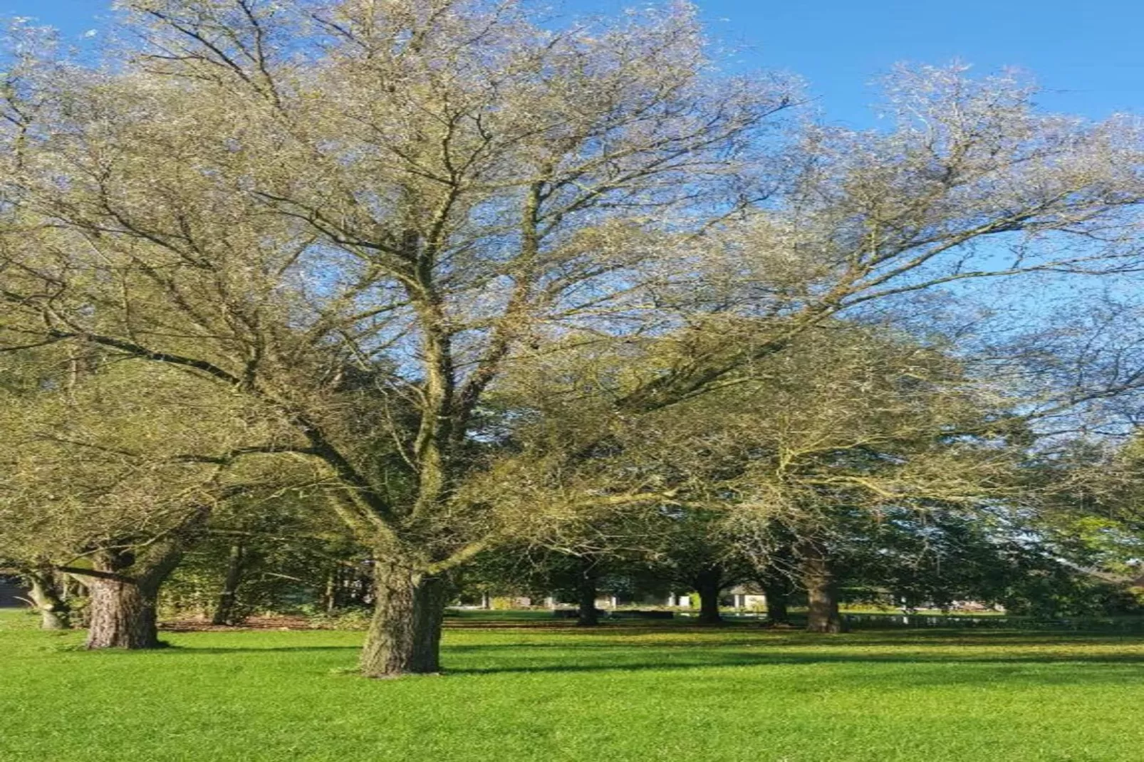 Parc de Kievit 1 - Gebieden zomer 20km