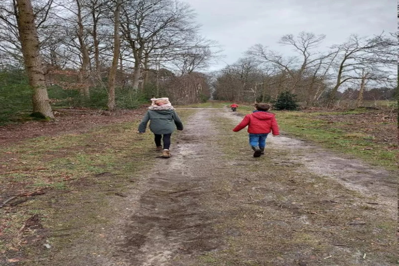 Parc de Kievit 2 - Gebieden zomer 20km