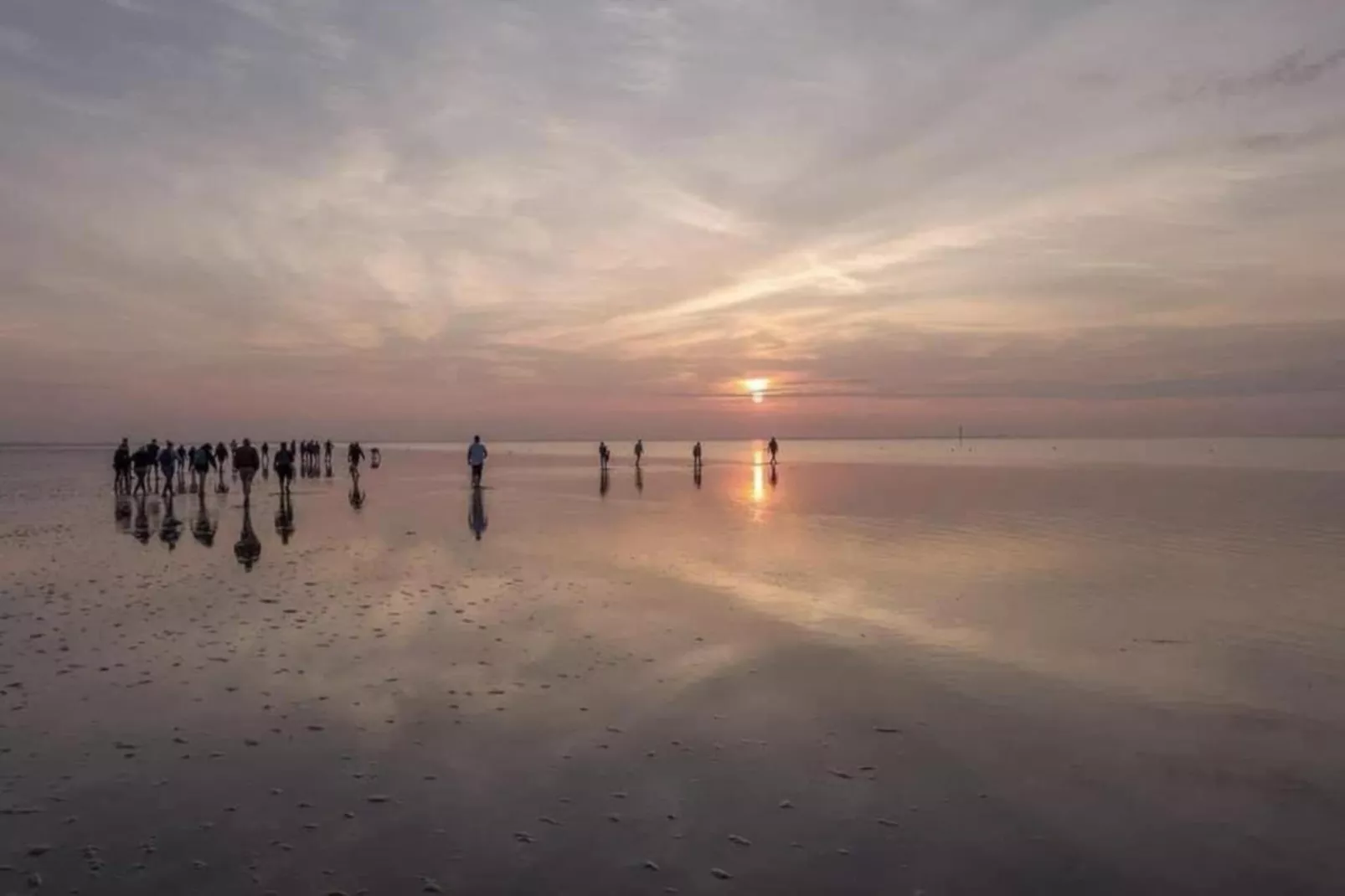 De Grutto-Gebieden zomer 20km