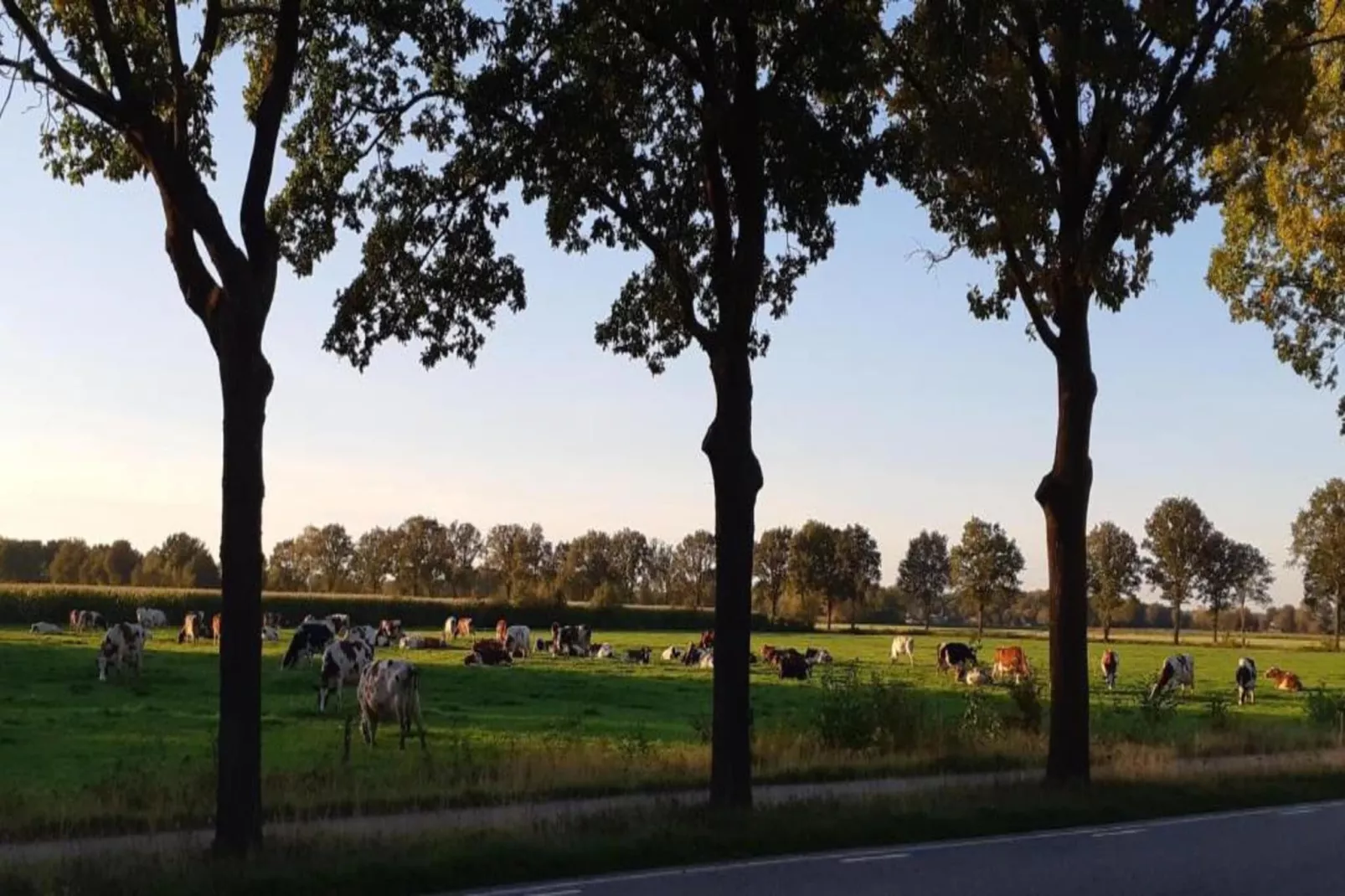 Vakantiepark Latour 2-Gebieden zomer 20km