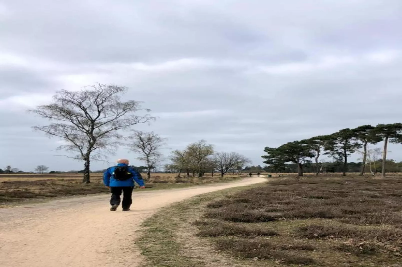 Bospark 't Wolfsven 12-Gebieden zomer 5km