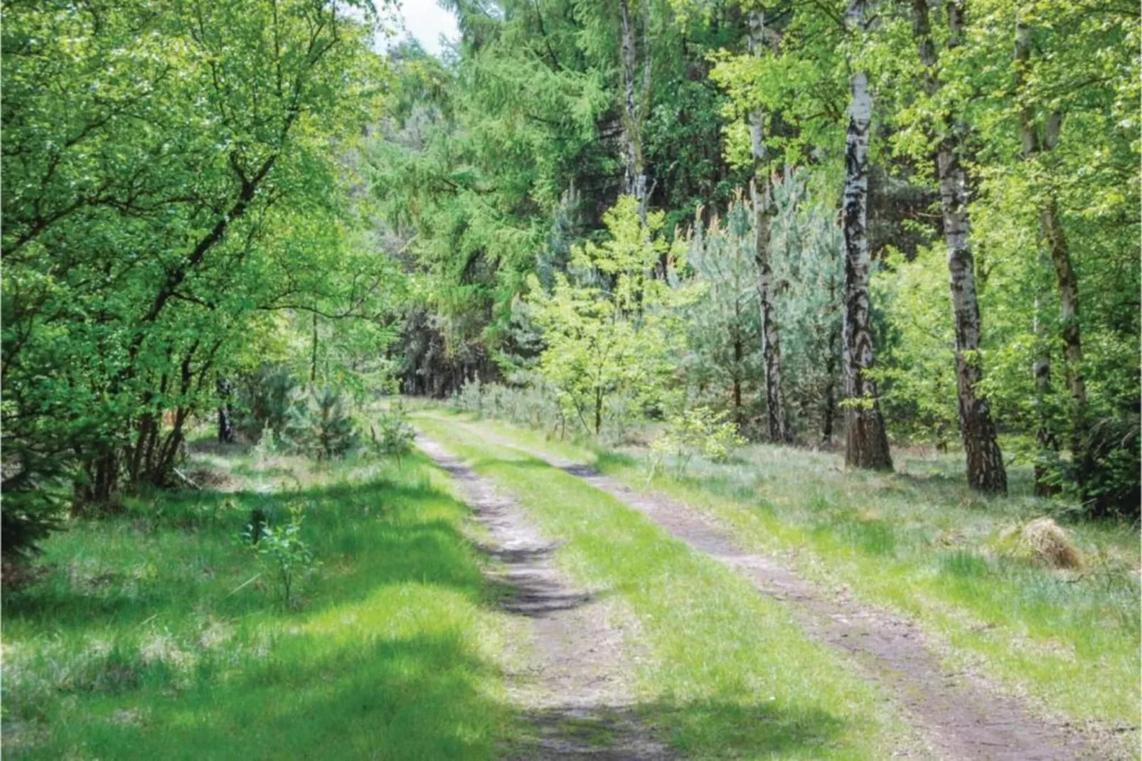 Dorpswoning De Plek-Gebieden zomer 20km