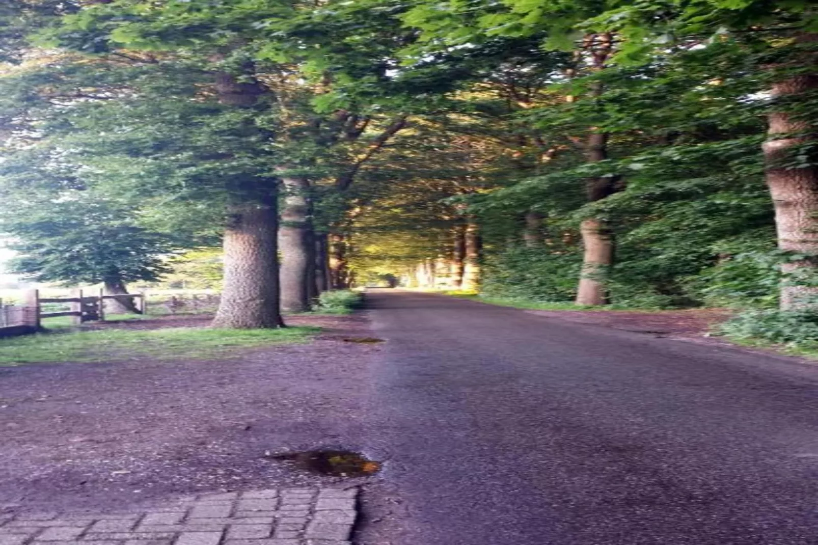 Residence De Eese 16-Gebieden zomer 20km