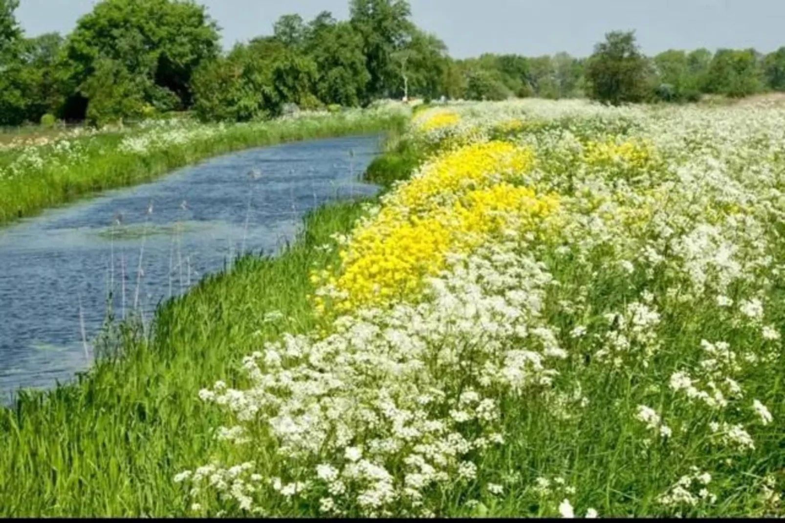 Friese Meren Villa's 2-Gebieden zomer 20km