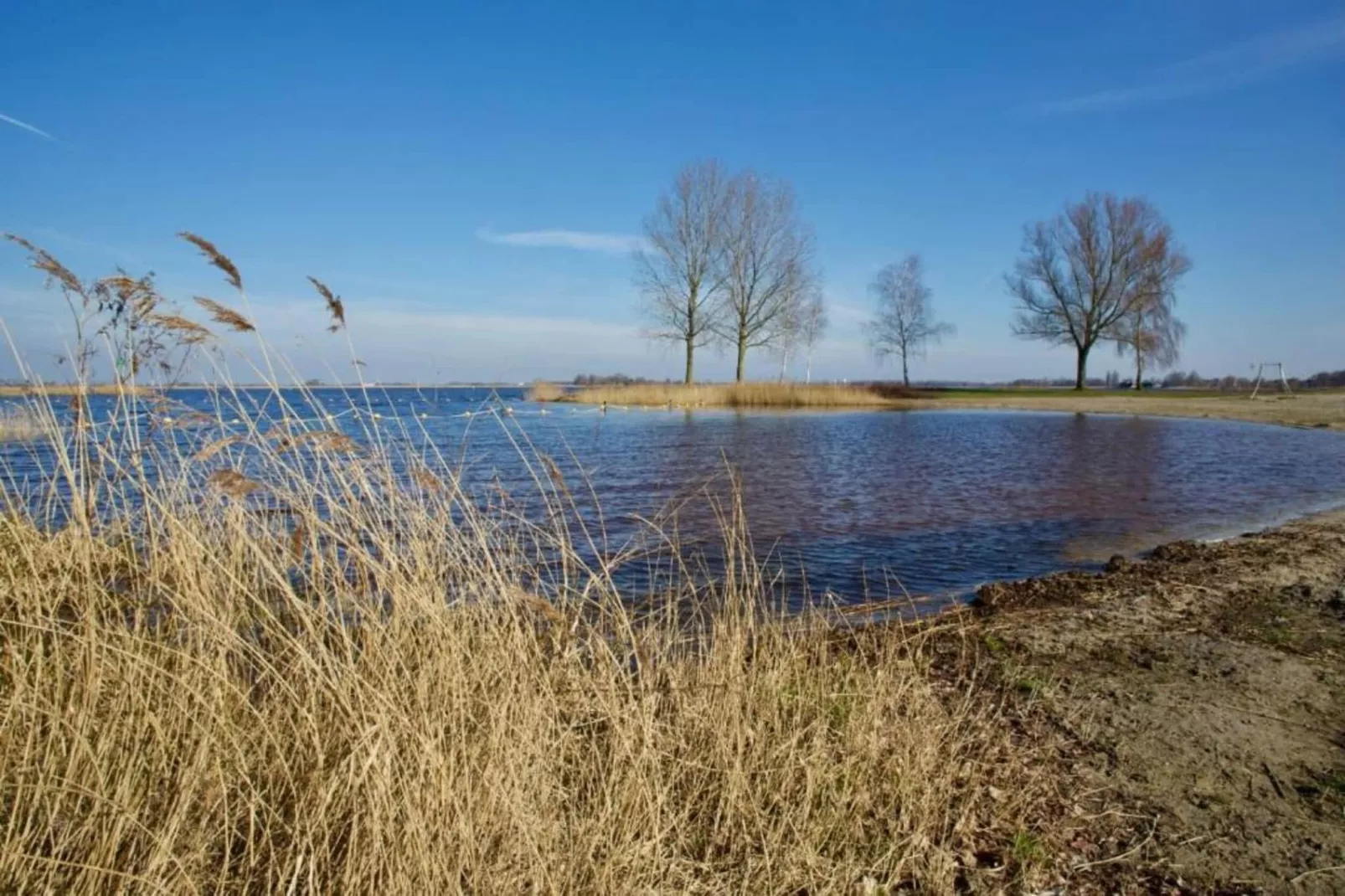 Scharsterlaan 9-Gebieden zomer 20km