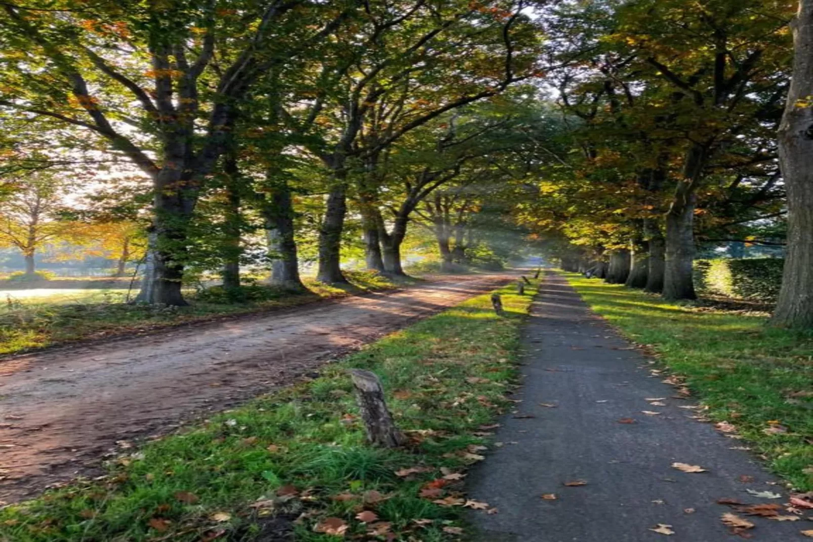RCN Vakantiepark de Noordster 3-Gebieden zomer 20km