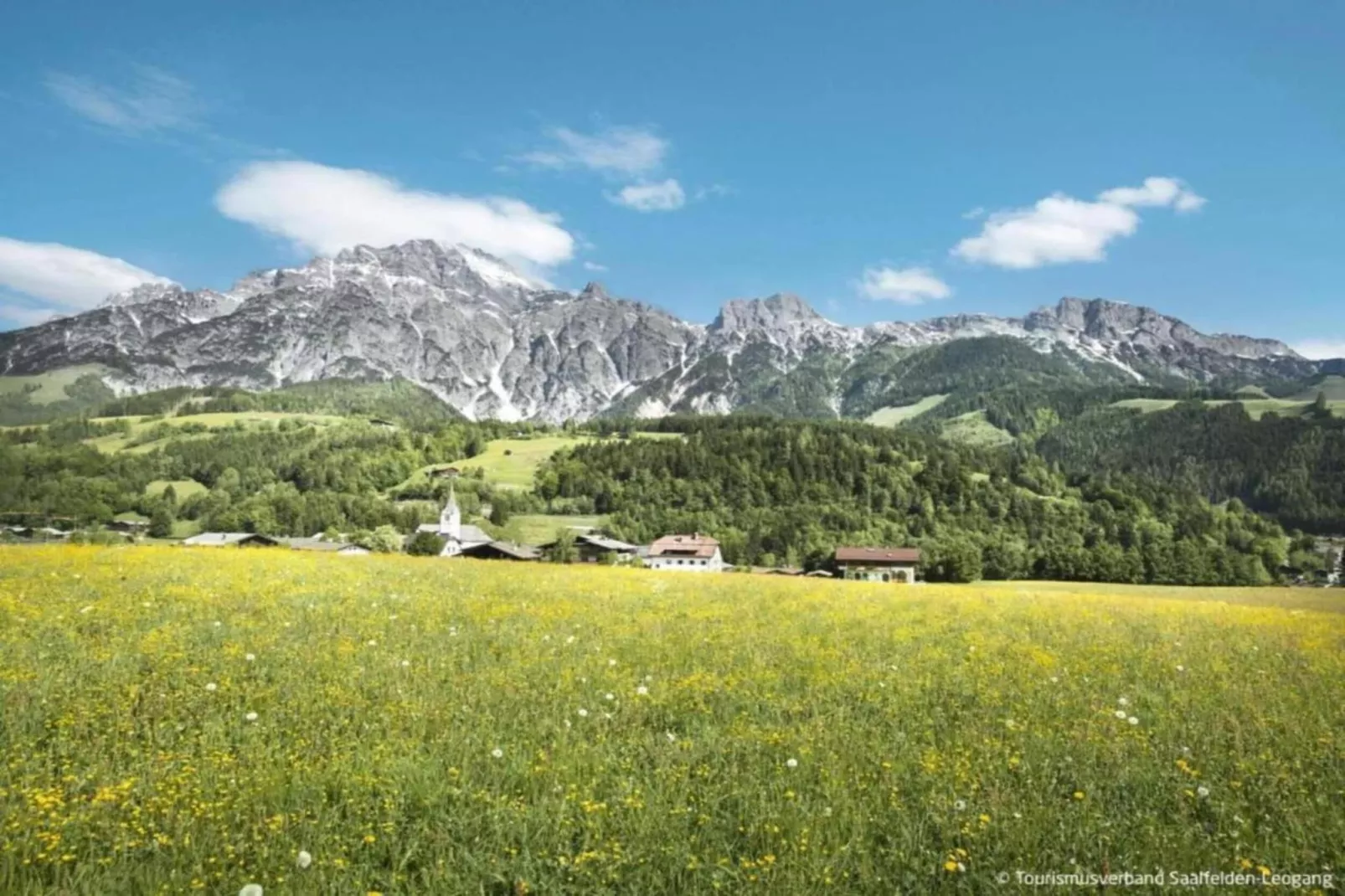 JUCHE FEWO - PENKKOPF - Haus blau-Gebieden zomer 20km