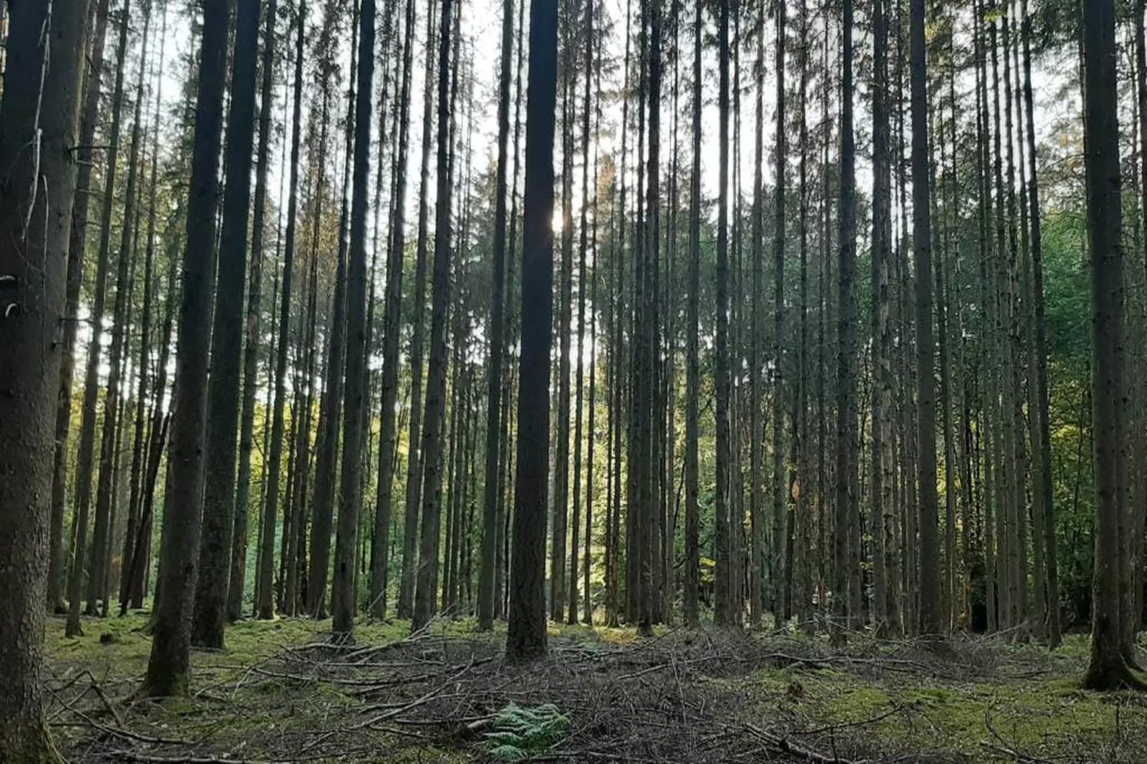 Refuge du Loup-Gebieden zomer 20km