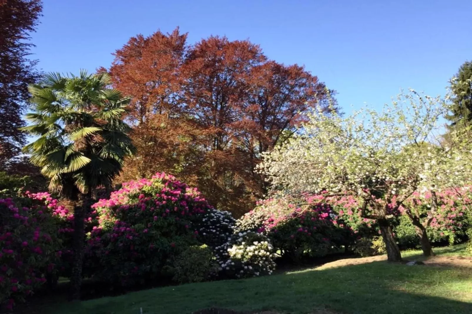 Villa Grandi app Vignone-Gebieden zomer 20km
