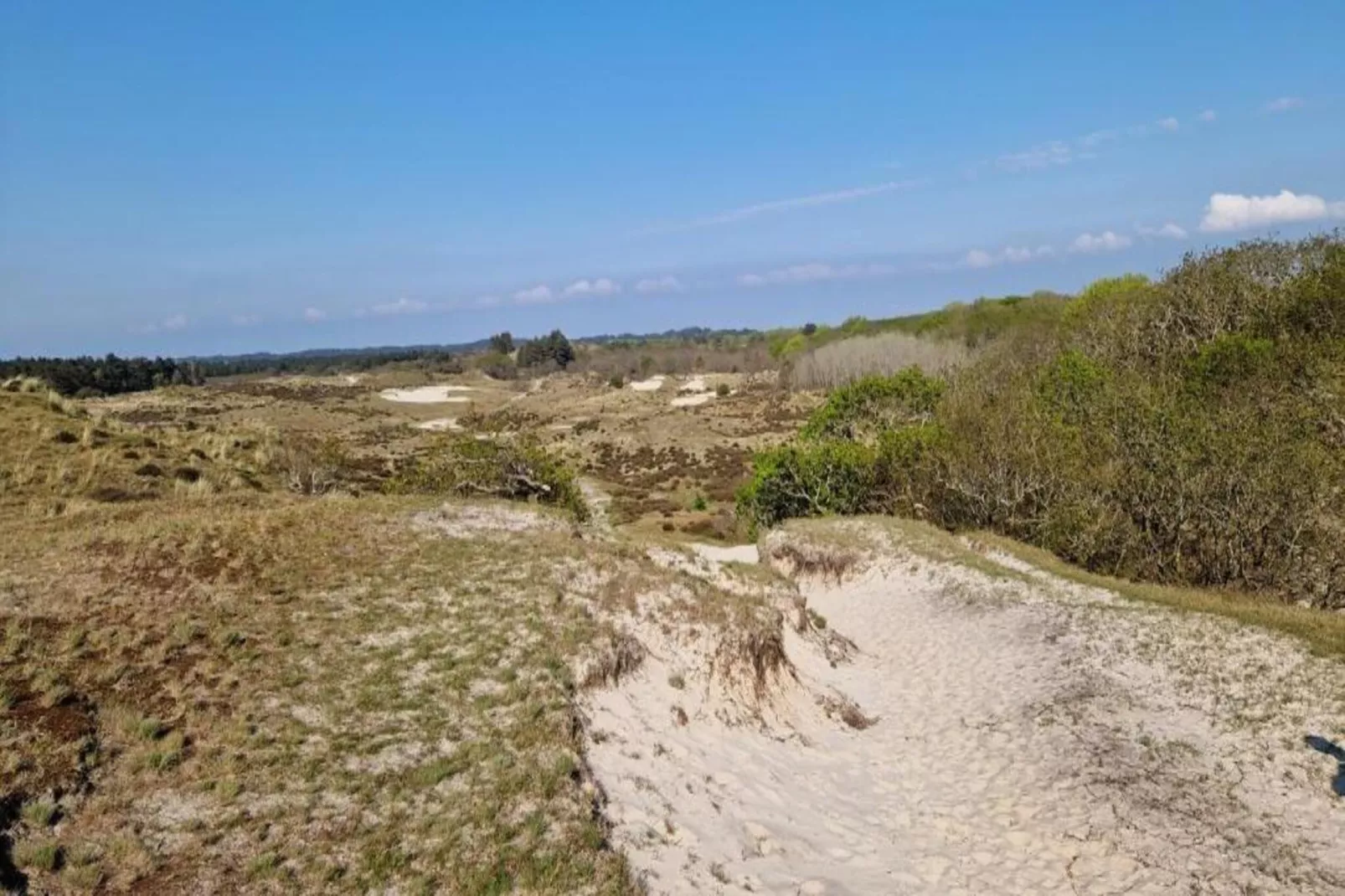 Bungalowpark Campanula 6-Gebieden zomer 20km