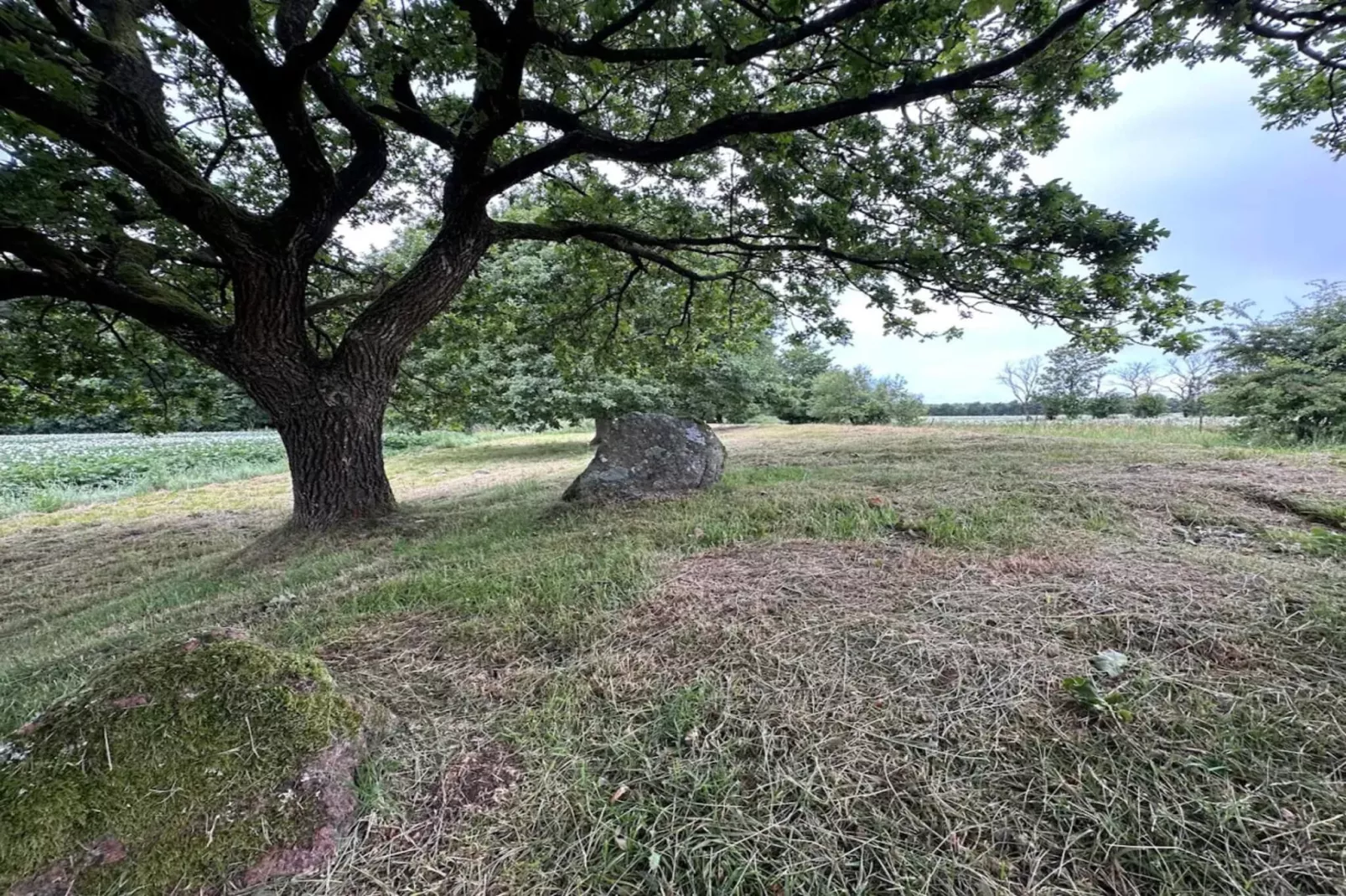 4 persoons vakantie huis in Hovborg-By Traum