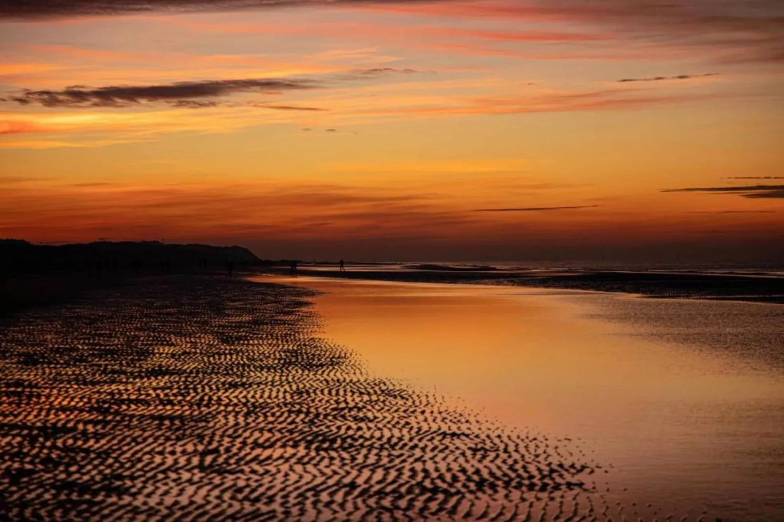 Ter panne 303  g-Gebieden zomer 1km