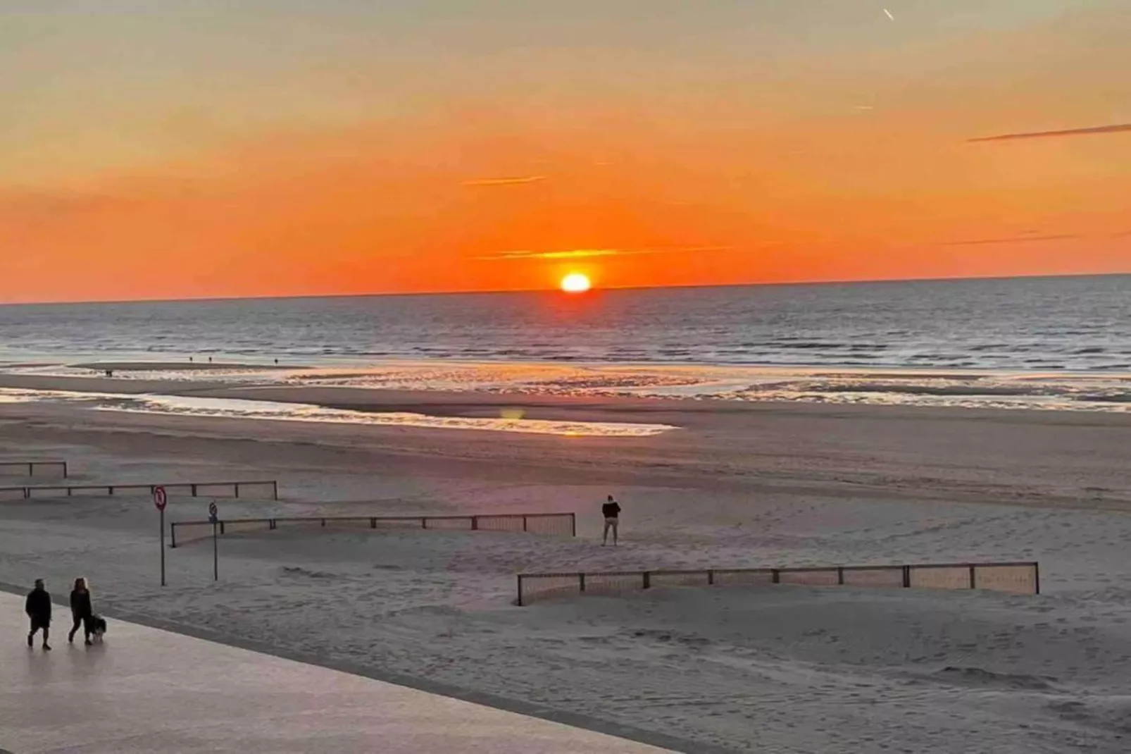 Les petrels 202 g-Gebieden zomer 1km