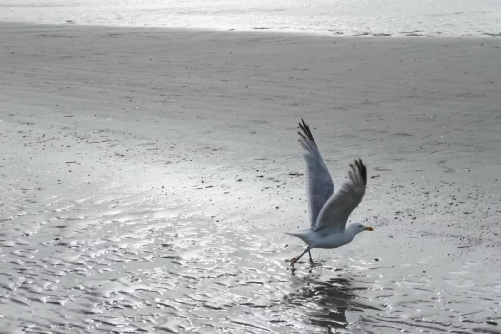 Aosta 204-Gebieden zomer 1km