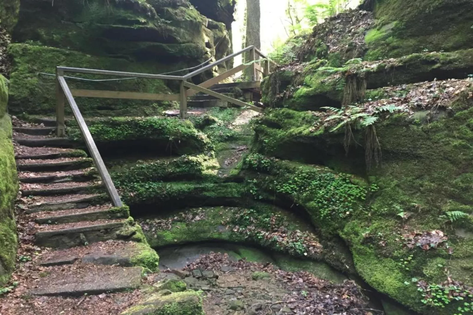 Resort Echternacherbrück 2-Gebieden zomer 20km