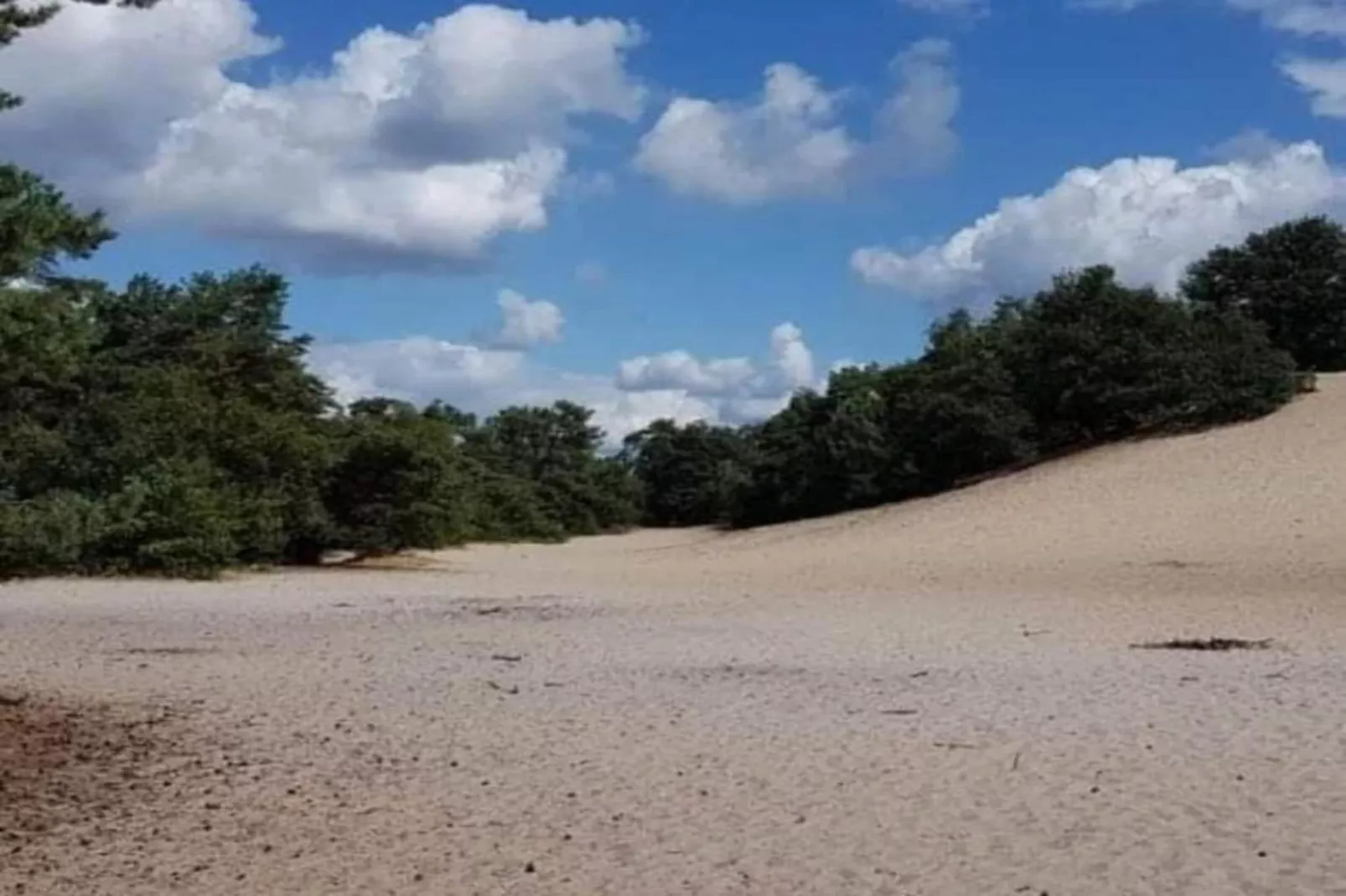 Vakantiepark Sandberghe 12-Gebieden zomer 20km