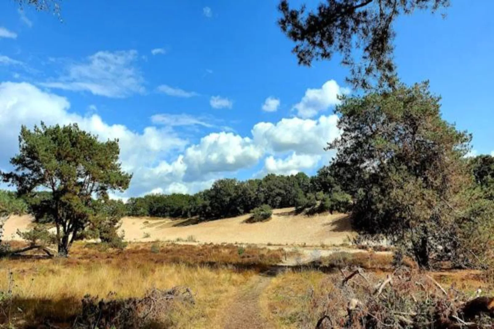 Vakantiepark Sandberghe 13-Gebieden zomer 20km