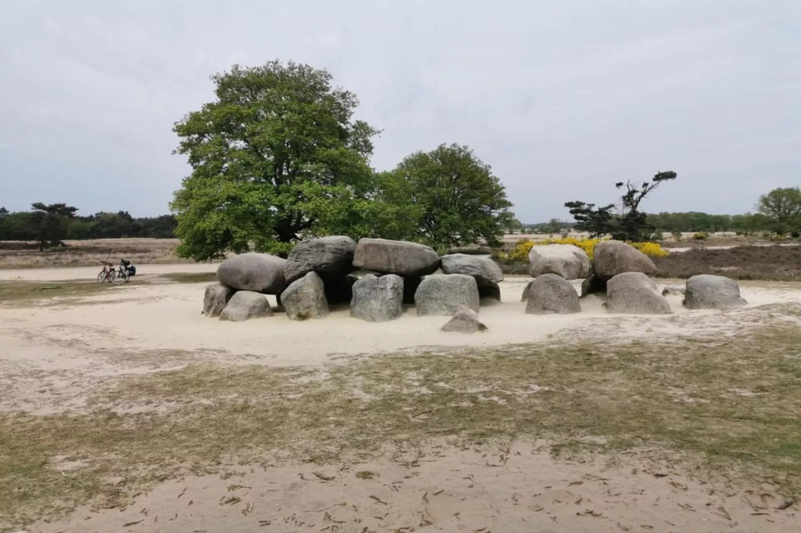 Residence De Eese 3-Gebieden zomer 20km