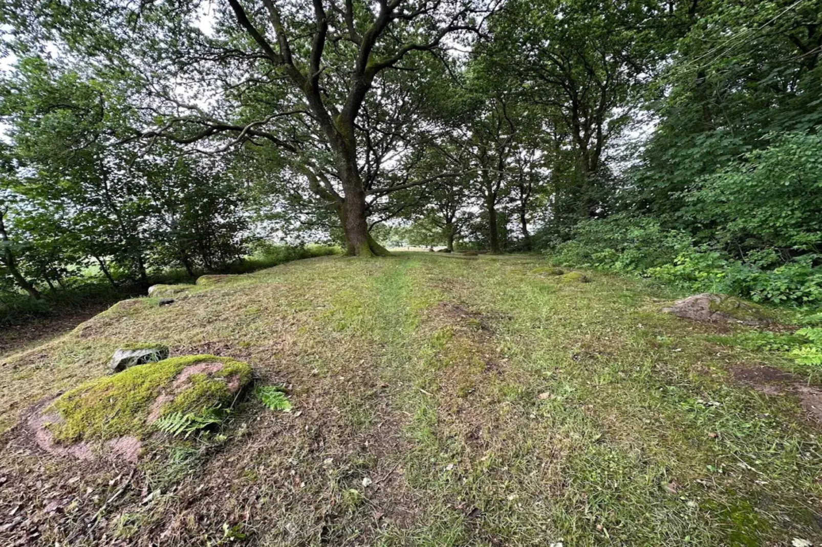 5 sterren vakantie huis in Hovborg-By Traum-Niet-getagd