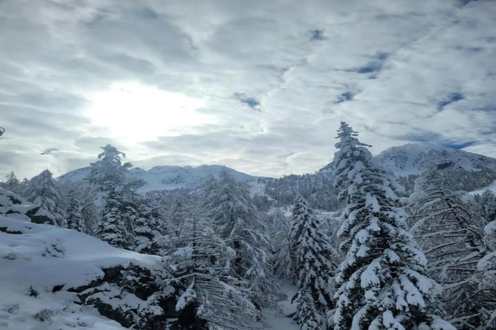 Les Terrasses d'Isola 1-Gebied winter 20km
