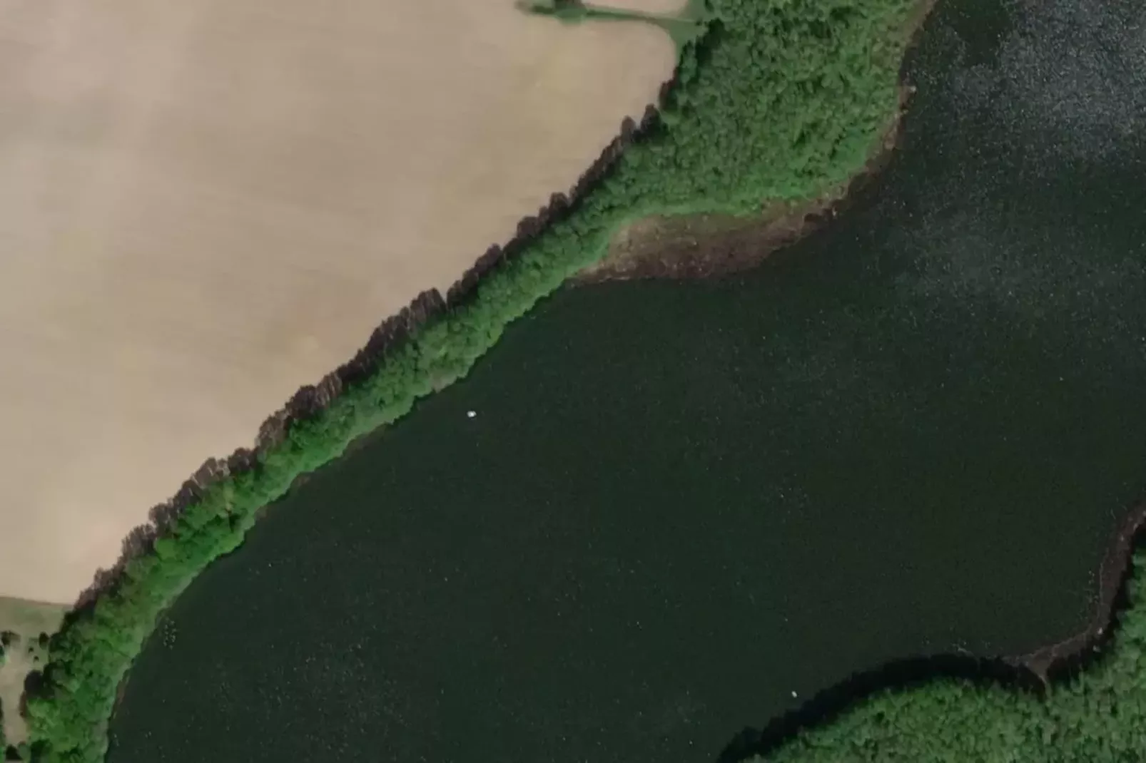 Wildgans Classic 246-Gebieden zomer 1km