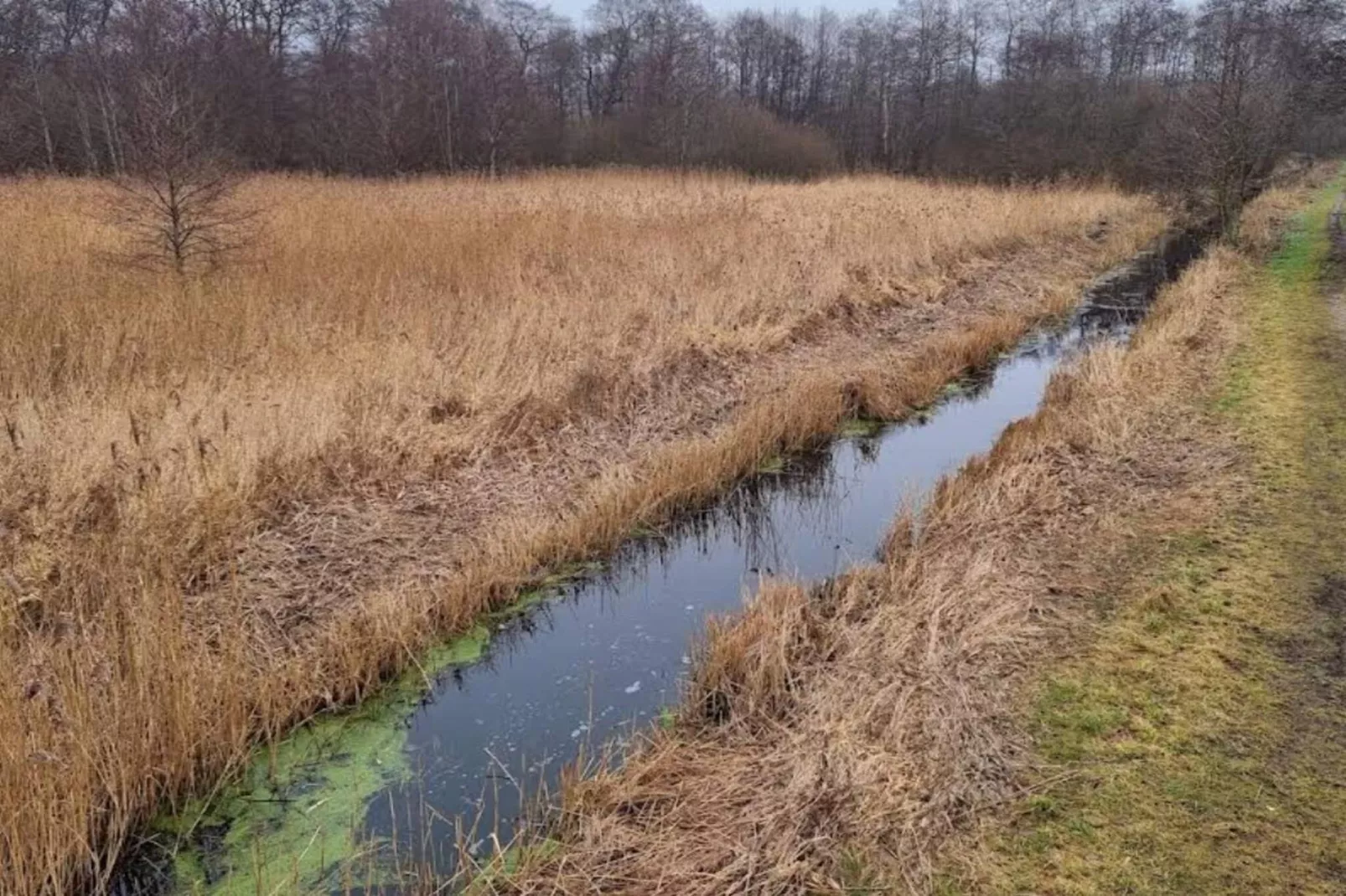 7 Personen vakantie huis in Ebeltoft-By Traum - Waterzicht