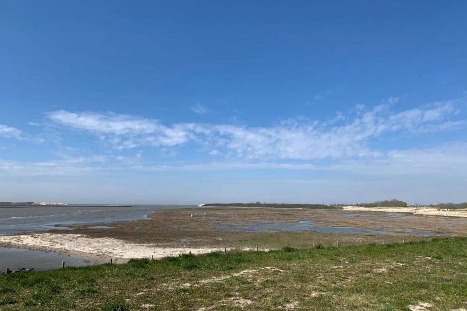 NEW CONTINENTAL PALACE - 4FG-Gebieden zomer 1km