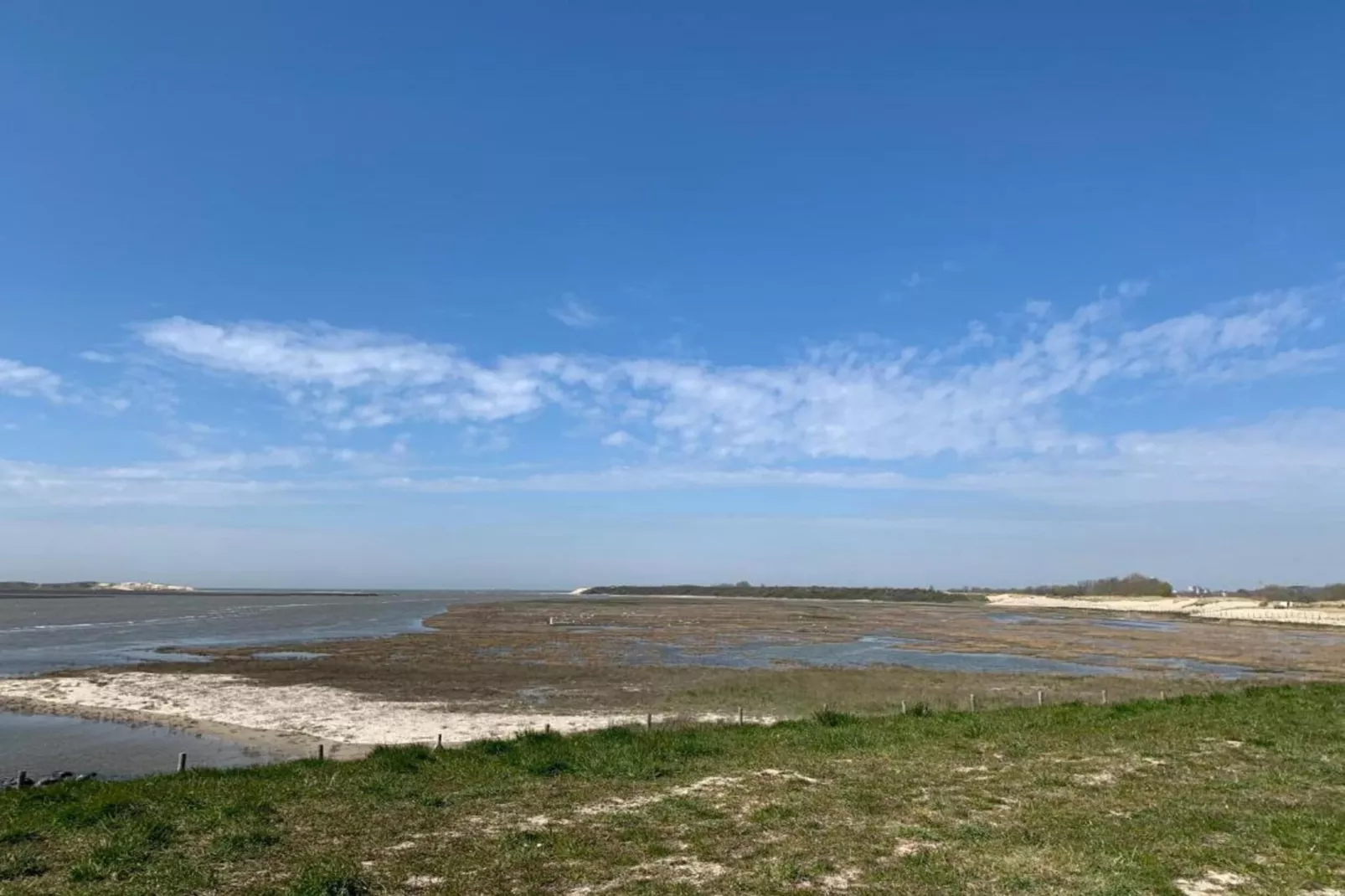LUXEMBOURG - 8TH-Gebieden zomer 1km