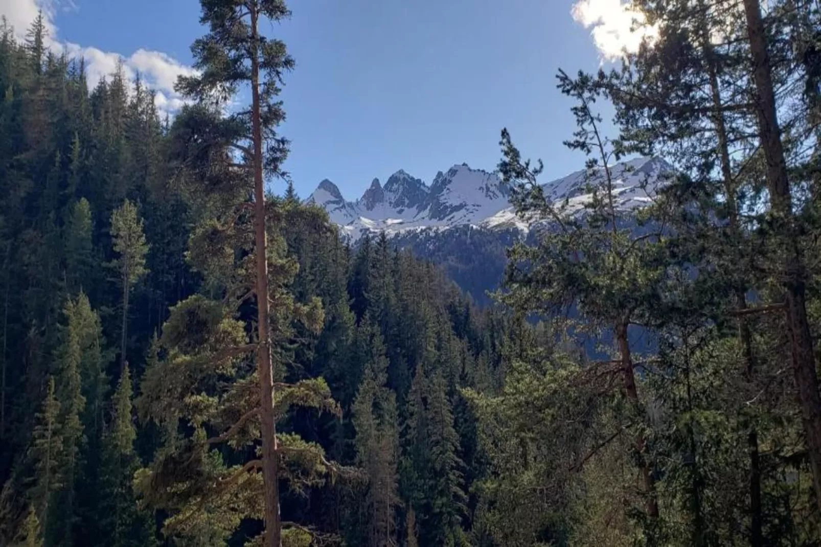 LA TURRA N°301 - 3P6-Gebieden zomer 20km