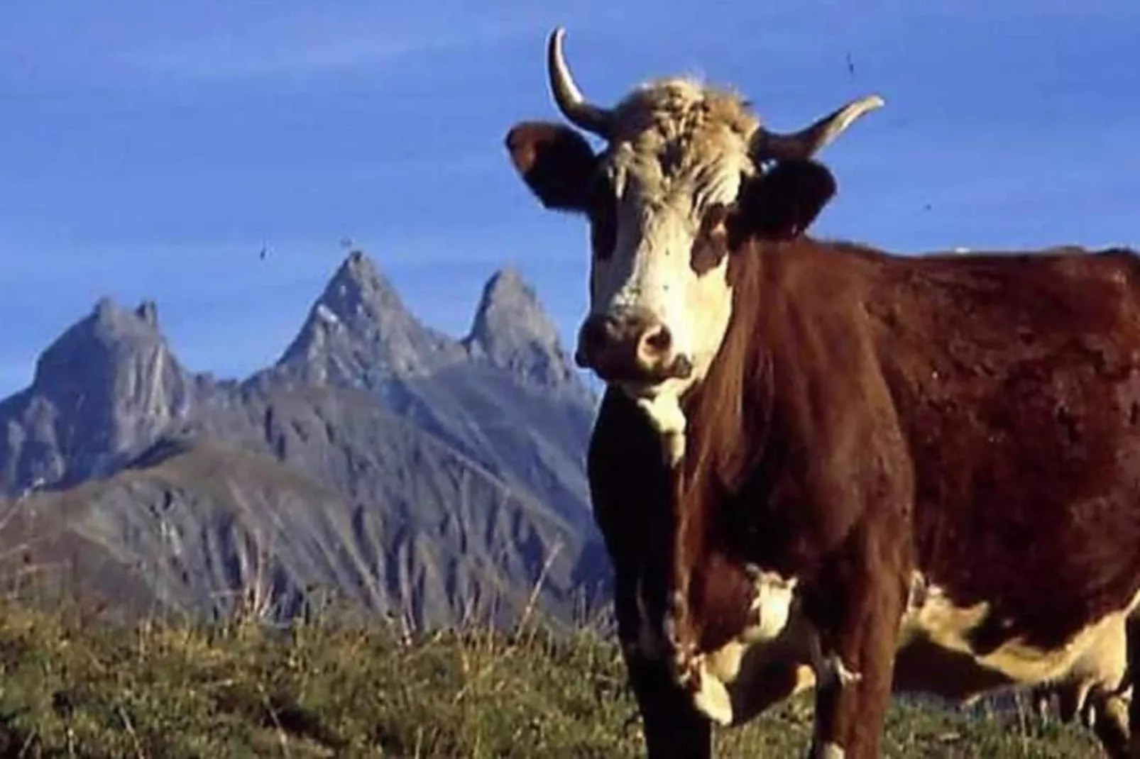 Les Marmottes N°34 - 3P6-Gebieden zomer 20km