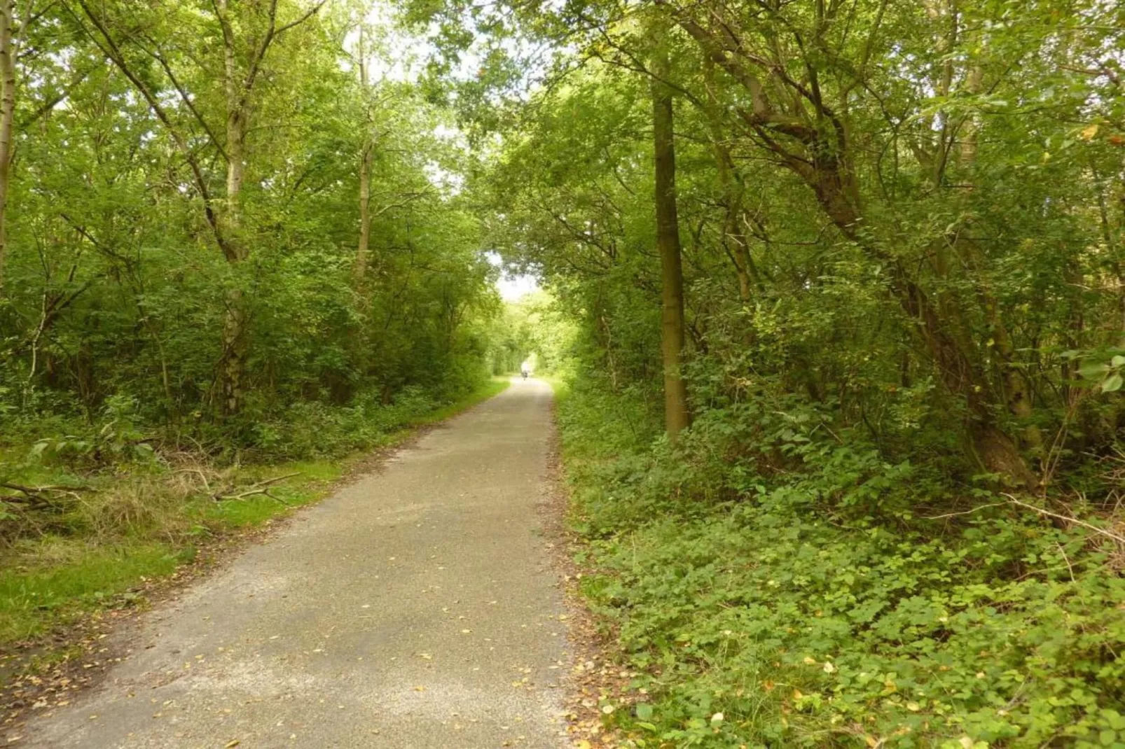 B&B de Gouwe Tijd-Gebieden zomer 20km