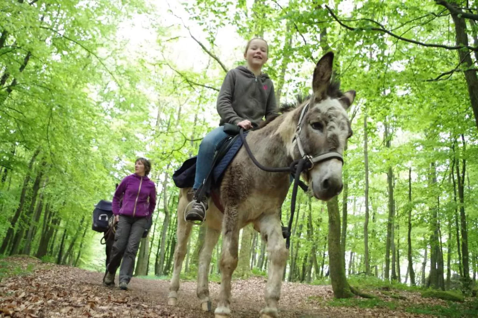 Stardust 40 Family Lodge-Gebieden zomer 20km