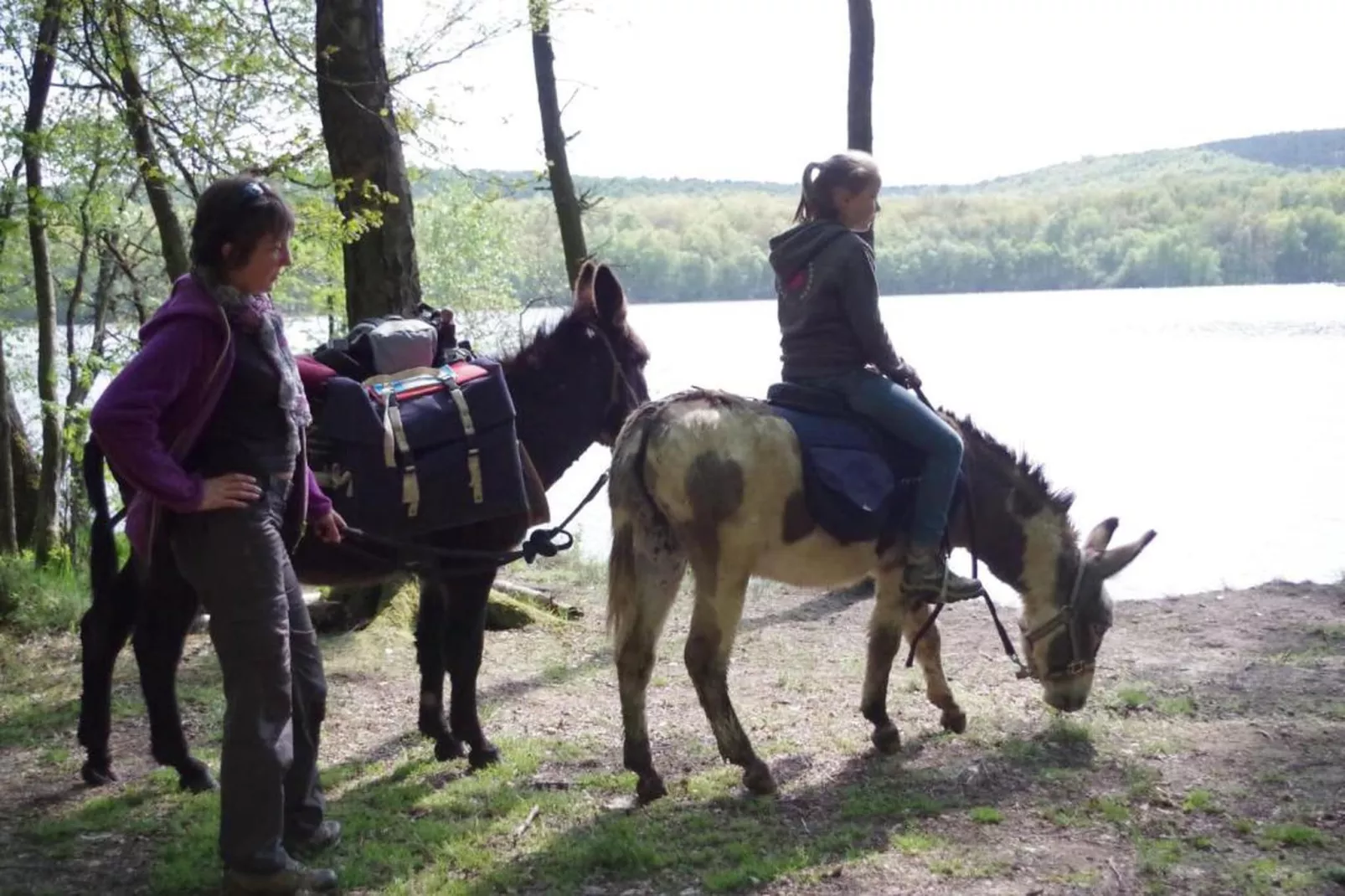 Wooden chalet-Gebieden zomer 20km