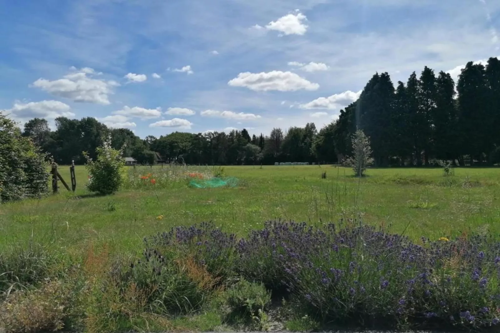 Vlindervallei Villa 8p-Gebieden zomer 5km