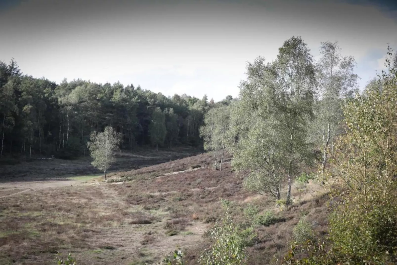 Vlindervallei Studio 2p-Gebieden zomer 5km