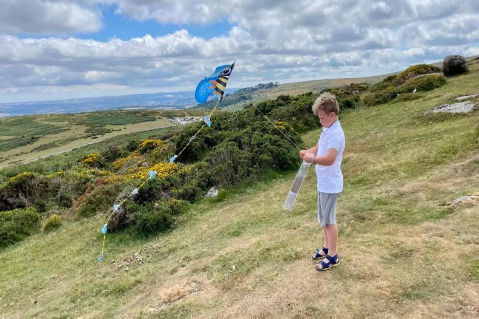 Little Dunley - Apple Lodge-Gebieden zomer 5km