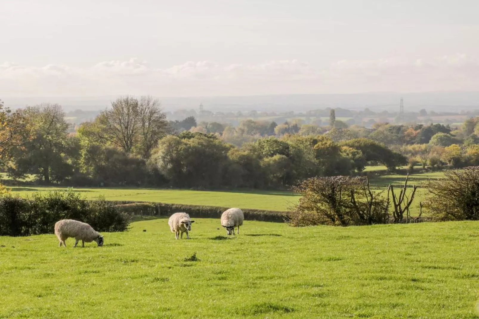 Pennine Hall Apt-Gebieden zomer 20km