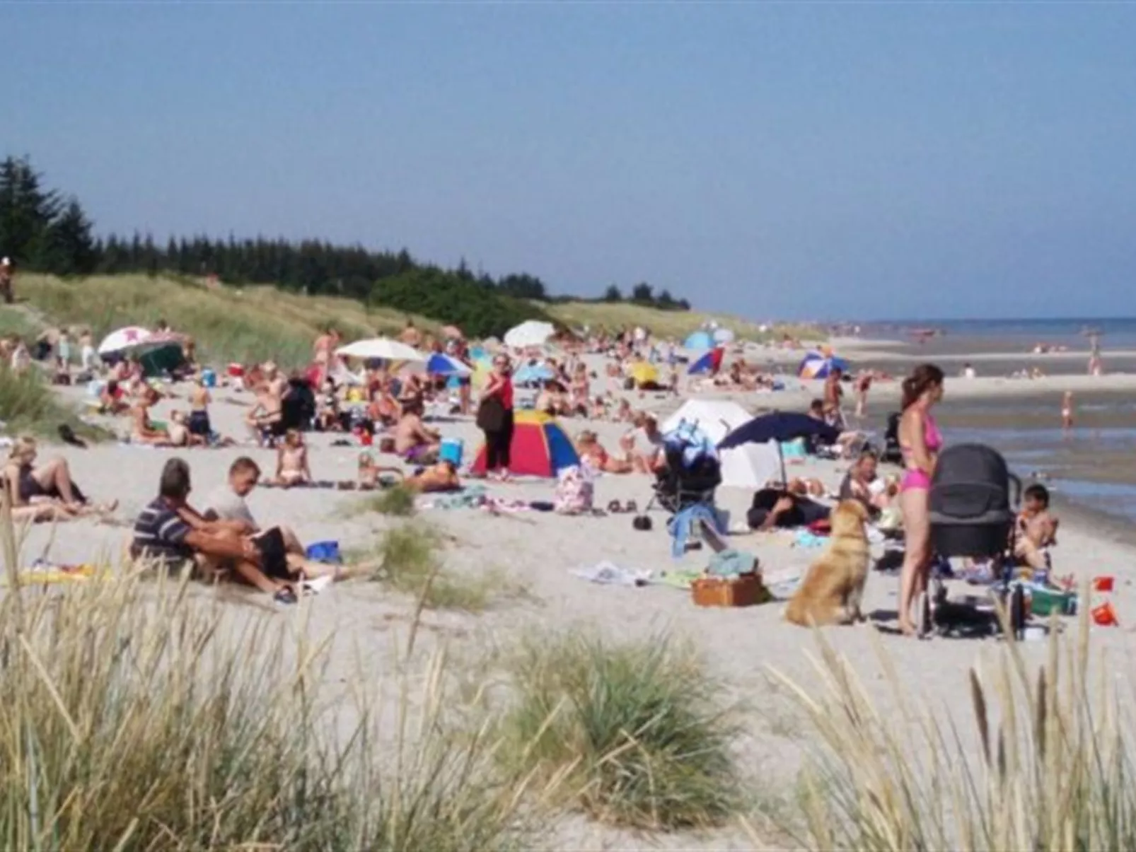 "Smilla" - 1.1km from the sea-Buiten