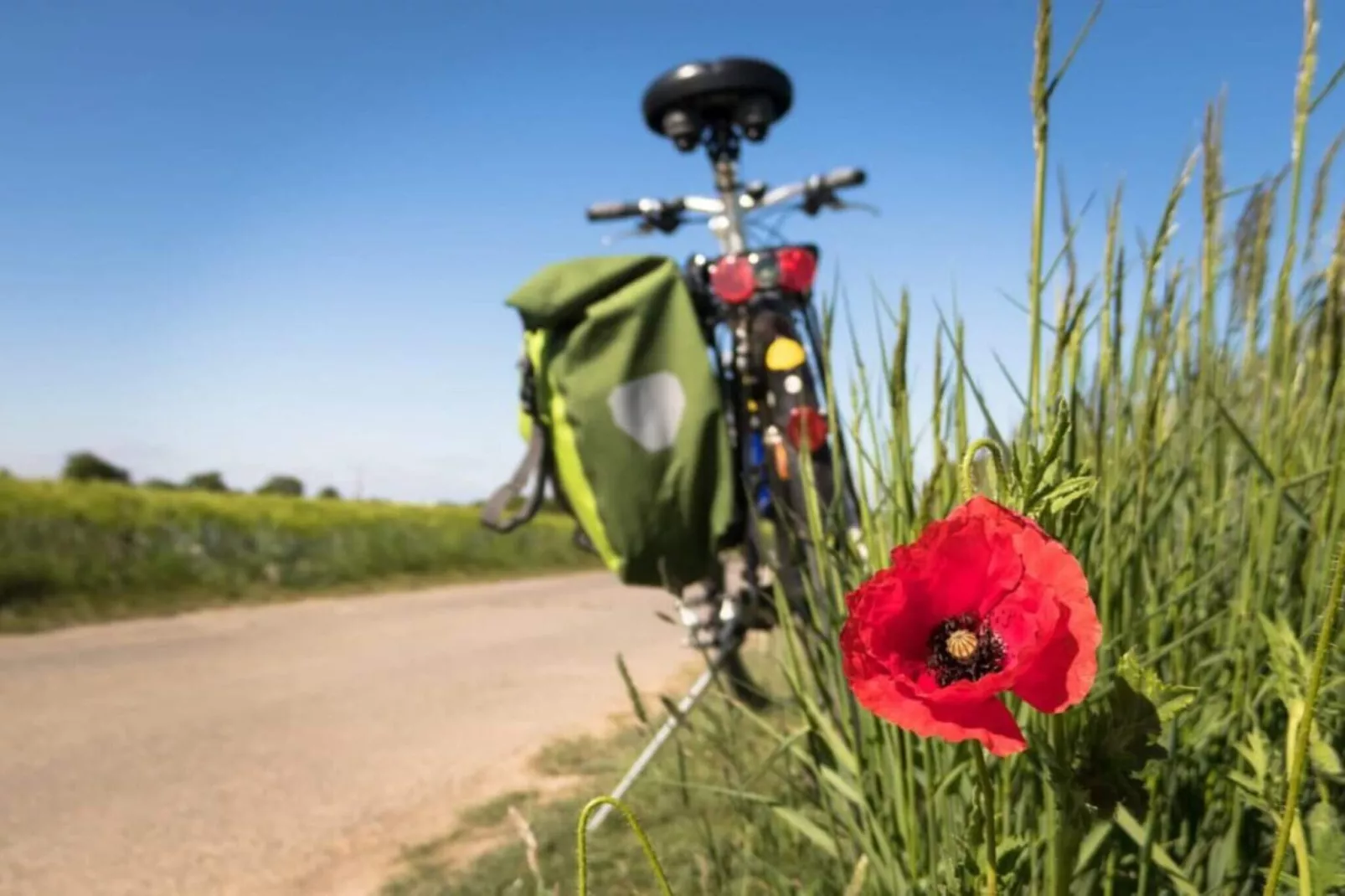 6 persoons vakantieparkhuis in Asperup-Niet-getagd