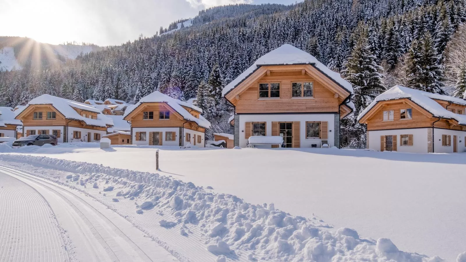 Auerhahn-Exterieur winter