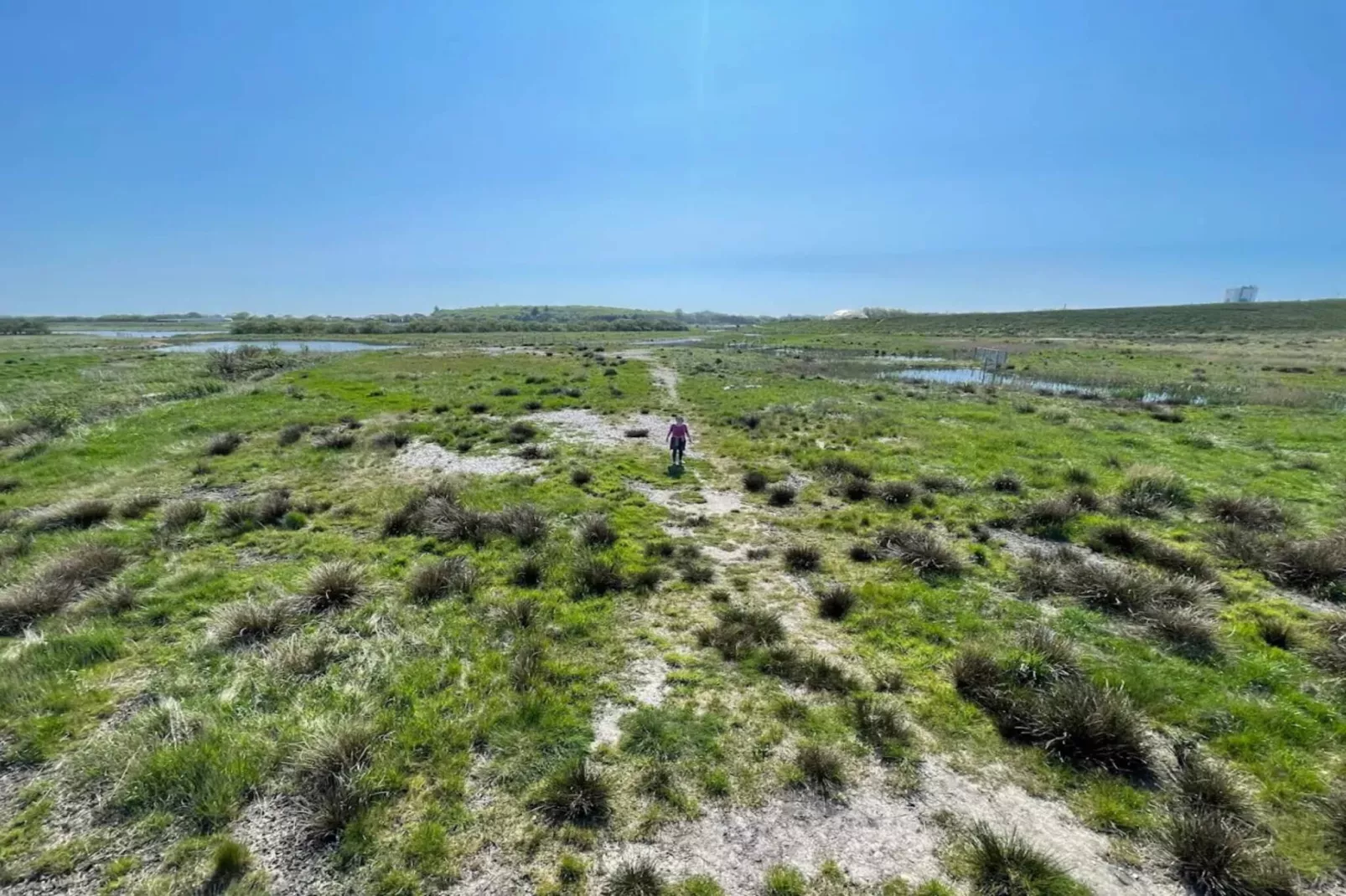 4 Personen vakantie huis in Ringkøbing-Niet-getagd