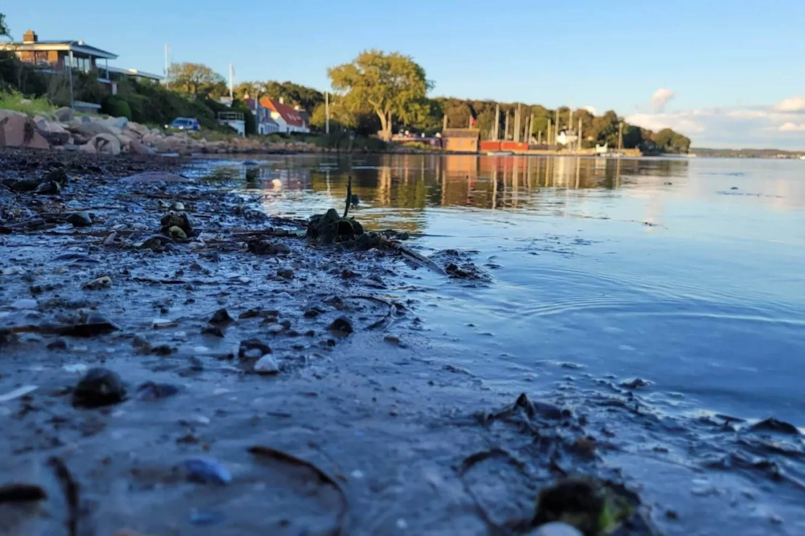 Kustplezier in Dyreborg-By Traum-Waterzicht