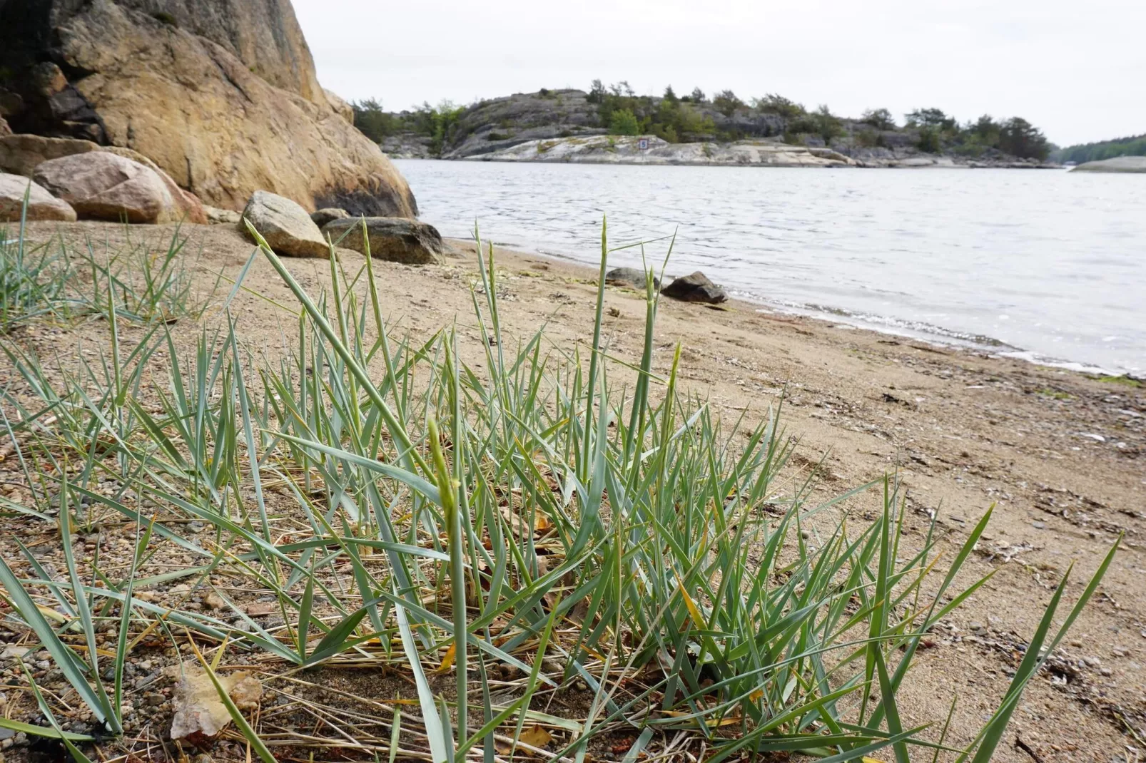 Rustig toevluchtsoord aan de kust op Oddo-Niet-getagd